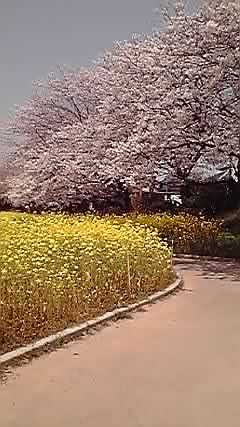 2011-04-10 14:33:29