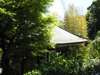 長谷寺６