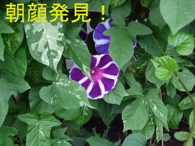 ブログ用005 023.jpg