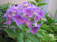 resize0040.jpg