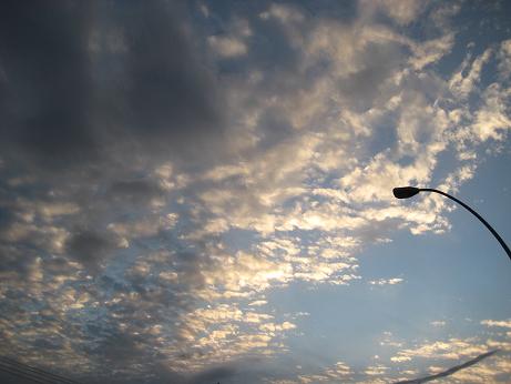 上毛大橋から～