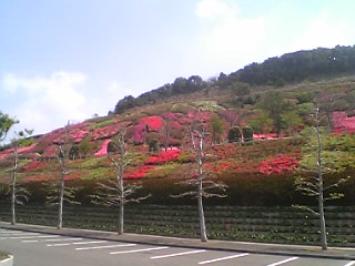 松浦・不老山？