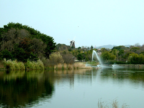turumi