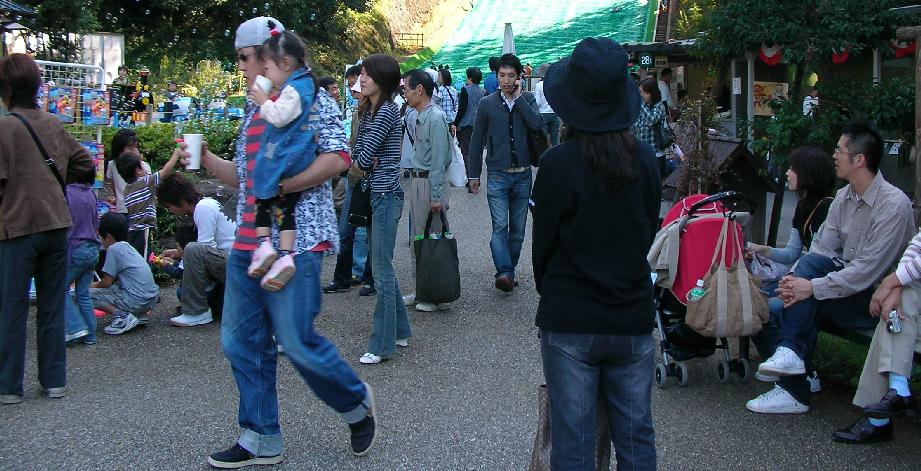 昭和村の風景２