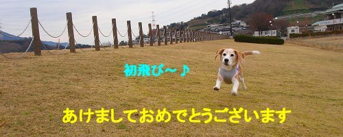 20120101あけおめ
