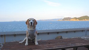 20120101白崎海洋公園