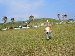 20110410マリンパーク
