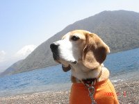 20060503本栖湖