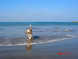 20091004気持ちいい～♪