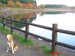 20091107田貫湖