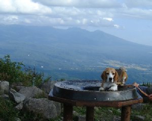 車山山頂