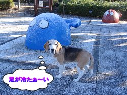 20101231雪
