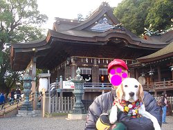 20110102金刀比羅宮