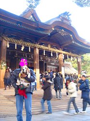 20110102初詣