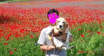 20080613お花畑