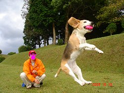 20091010山中城跡公園