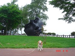 20090810有珠山噴火記念公園