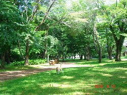 20100813公園