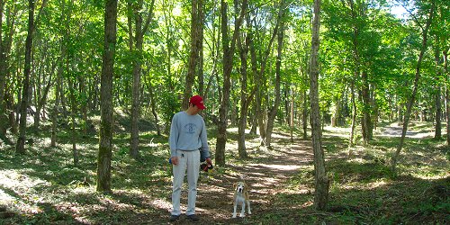 20091011恩賜林散策自然遊歩道