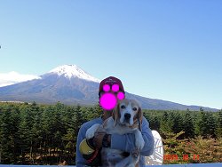 20091011富士山レーダードームから