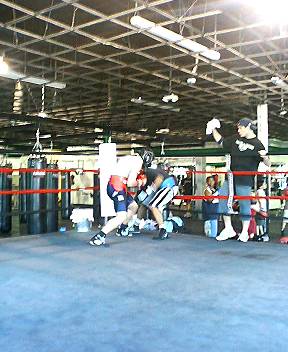 boxingspar
