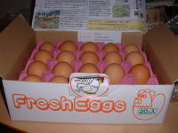 ○。ﾏﾏthanks。○