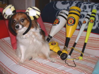阪神タイガース今日優勝？！