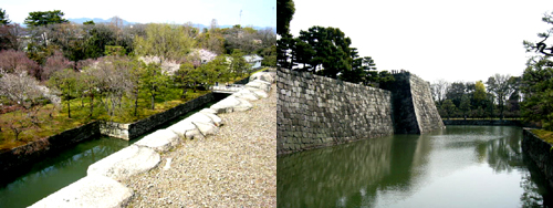 20090405二条城６.jpg
