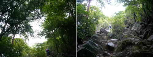 20081005本宮山２.jpg