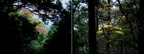 20081116本宮山３.jpg