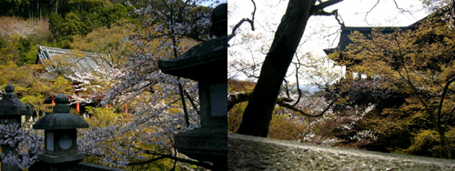 20090405清水寺４.jpg