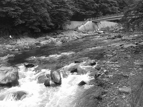 20100815香嵐渓の川２.jpg