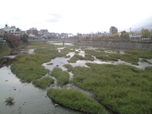 kamogawa01