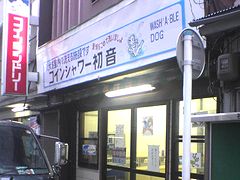 犬のコインシャワー