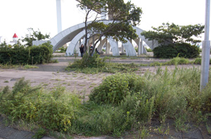 公園あれほうだい