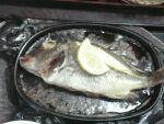 南栄お魚