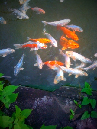 Photo by TiltShift Generator