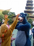 TDL11183
