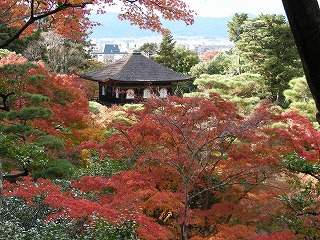 kyoto02