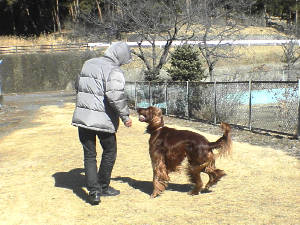 20060205sanpo1