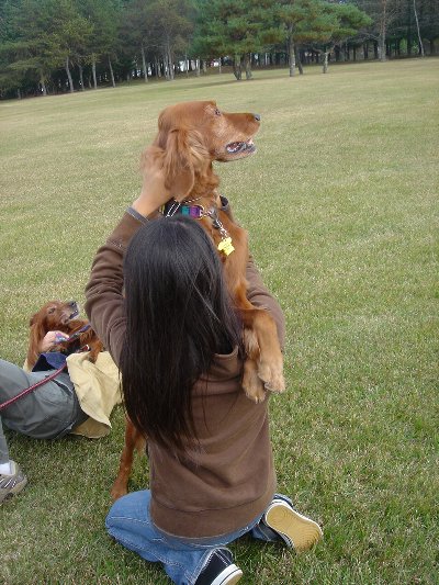 20061104dogshow12