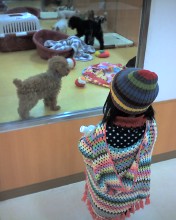 ペットしょっぷ２