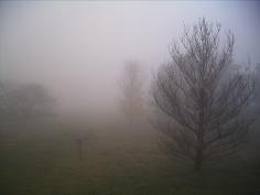 fog 1.JPG