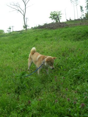 DSCN5923.JPG