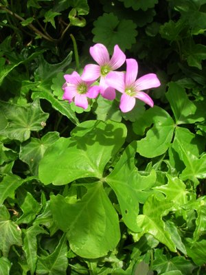 DSCN6488.JPG