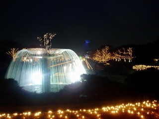 昭和記念公園１