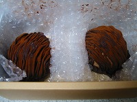 IMG_4233.jpg