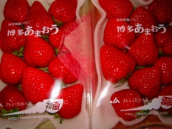苺、あまおう