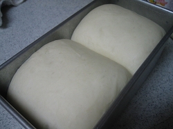 食パン