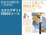 引き出物しょっぷ